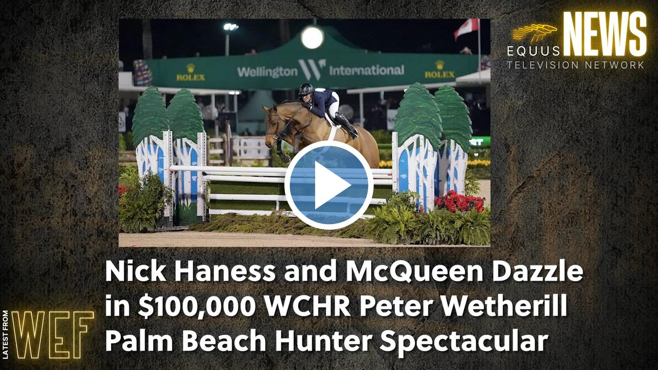 Nick Haness and McQueen Dazzle in $100,000 WCHR Peter Wetherill Palm Beach  Hunter Spectacular .mp4